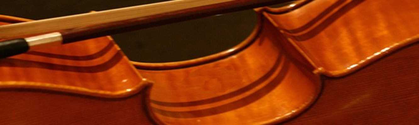 Cello-Detail